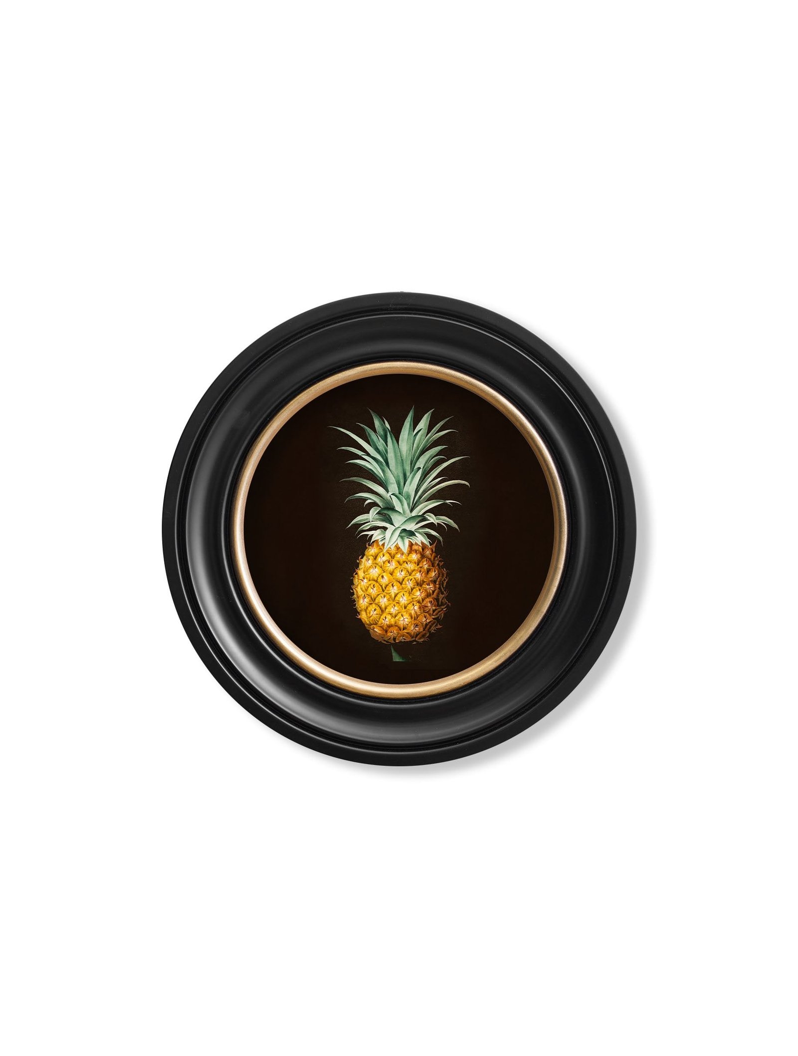 c.1812 Pineapple Study (Black) - Round Frame - Image 2