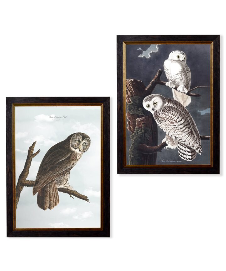 c.1838 Audubon's Owls