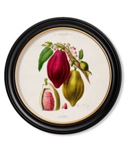 c.1843 Chocolate Plant - Round Frame