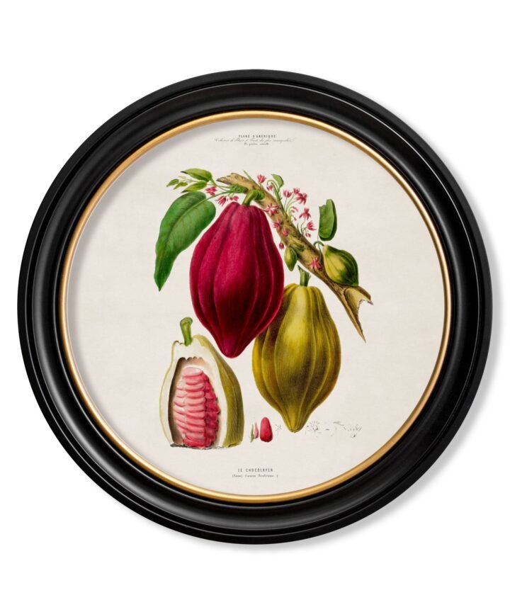 c.1843 Chocolate Plant - Round Frame