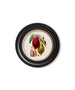 Alternative view of c.1843 Chocolate Plant - Round Frame
