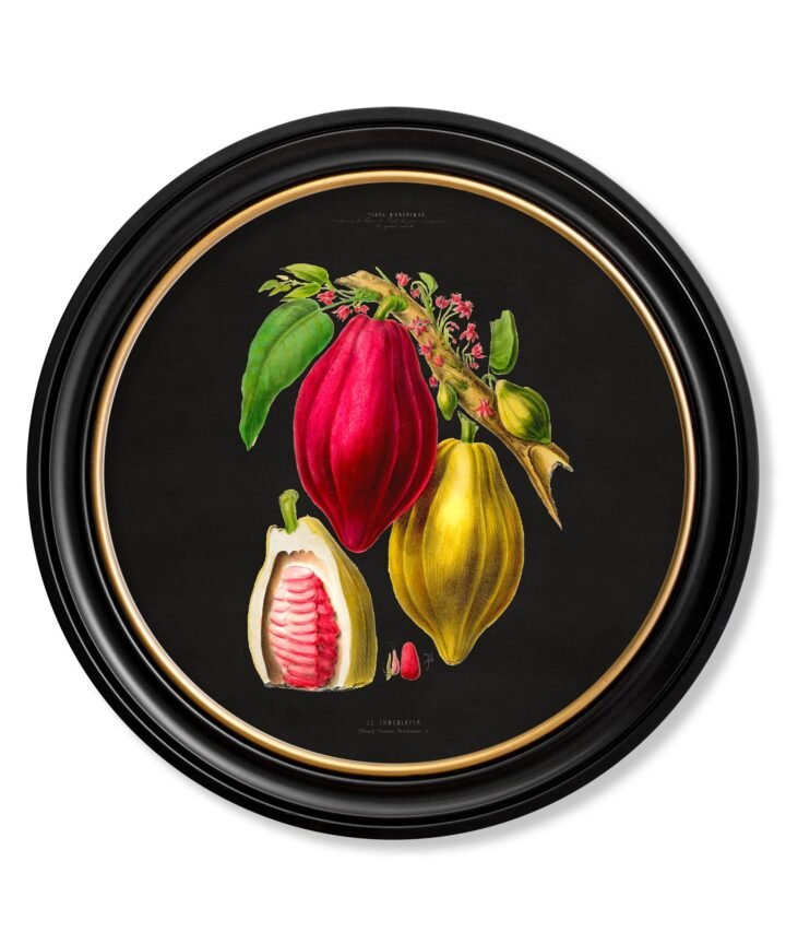 c.1843 Chocolate Plant - Round Frame - Black
