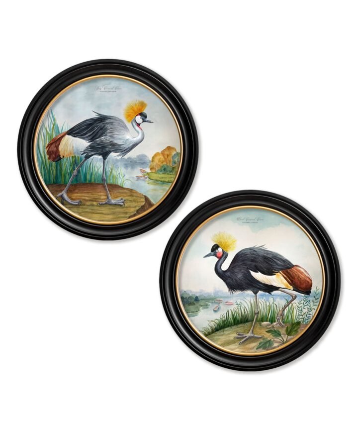 Audubon Style Cranes in Round Frames
