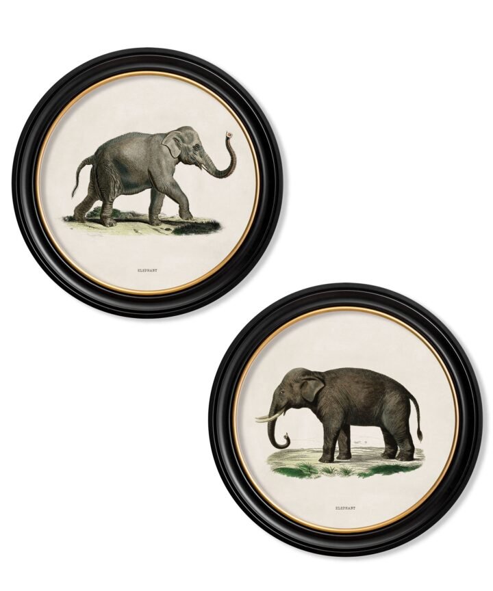 c.1846 Elephants in Round Frame