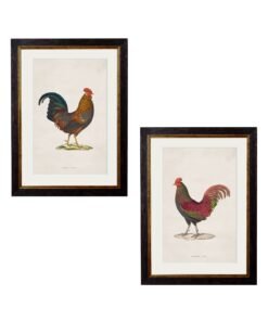 c.1838 Junglefowl