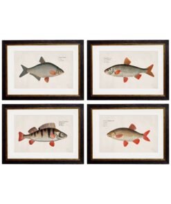 c.1785 Fresh Water Fish