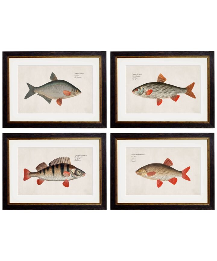 c.1785 Fresh Water Fish