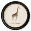 c.1836 Giraffe - Round Frame