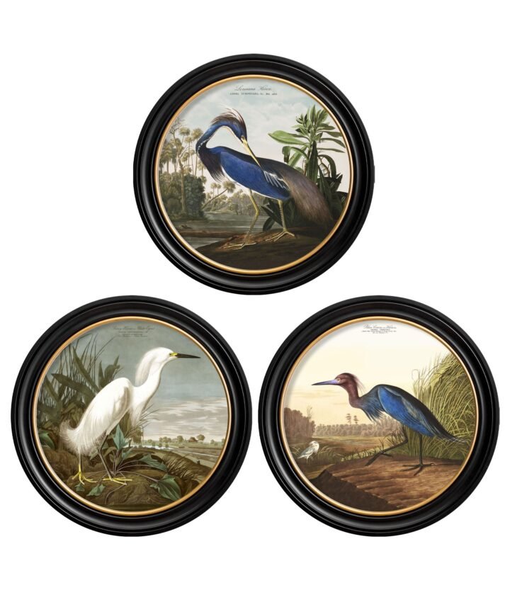 c.1838 Audubon's Herons in Round Frames
