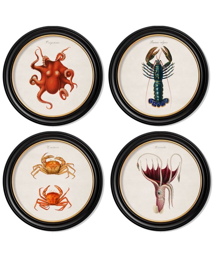 c.1876 Marine Animals in Round Frames