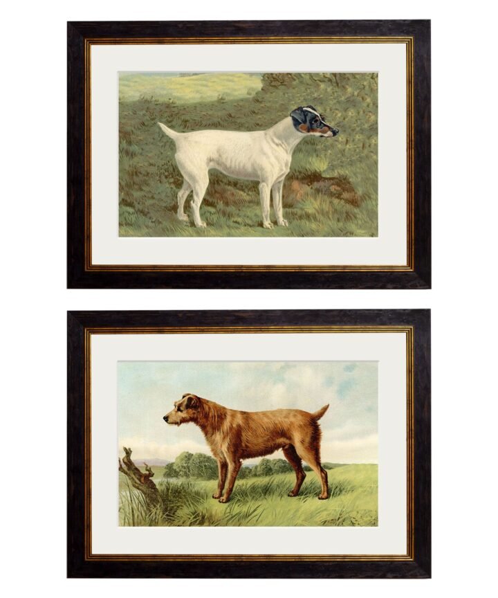 c.1881 Terriers