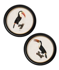 c.1809 Toucans - Round Frame