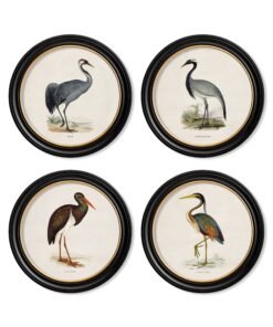 c.1870 Wading Birds in Round Frames