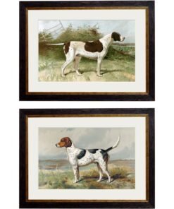 c.1881 Gun Dogs