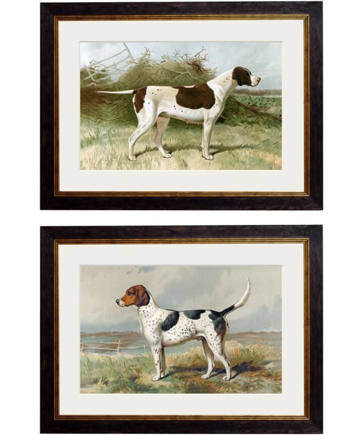 c.1881 Gun Dogs